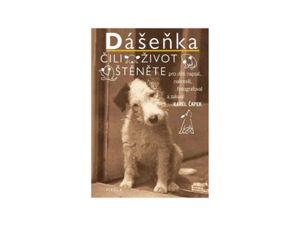 E shop produktová fotka (6)