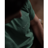 okurky 6